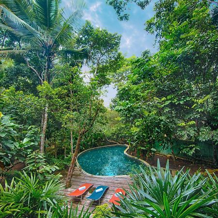 Wild Nest Villa ウナワトゥナ エクステリア 写真